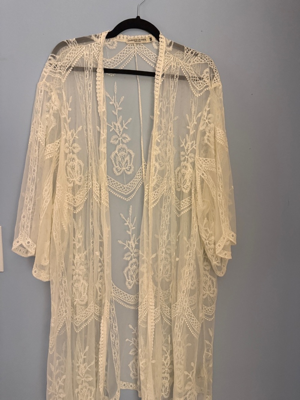 Chance or Fate Sheer Lace Embroidered Duster - Cream